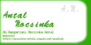 antal mocsinka business card